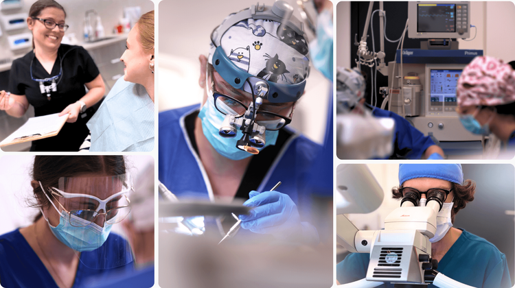 Zespół Medeor Clinic – lekarze i specjaliści kliniki w Poznaniu